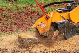 Best Soil Testing and Treatment  in Weyers Cave, VA
