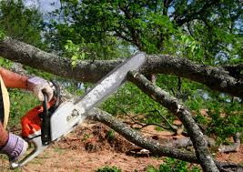 Best Weed Control  in Weyers Cave, VA