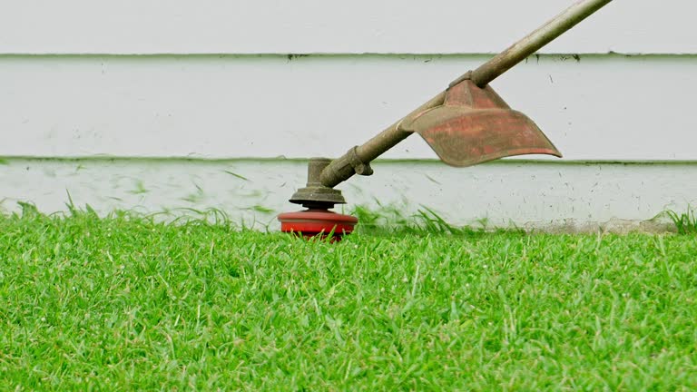 Best Lawn Mowing  in Weyers Cave, VA