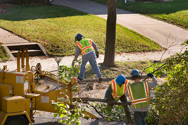 Best Tree Preservation Services  in Weyers Cave, VA